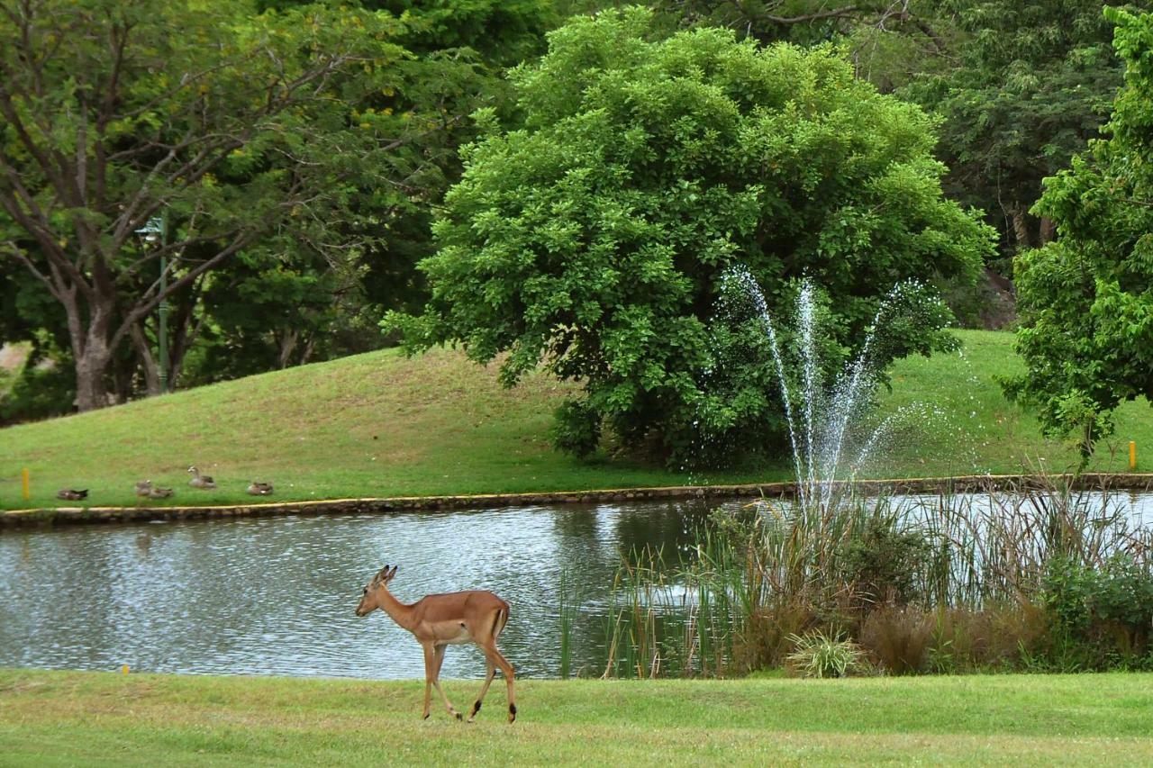 האזיביו Kruger Park Lodge Unit No. 612 מראה חיצוני תמונה